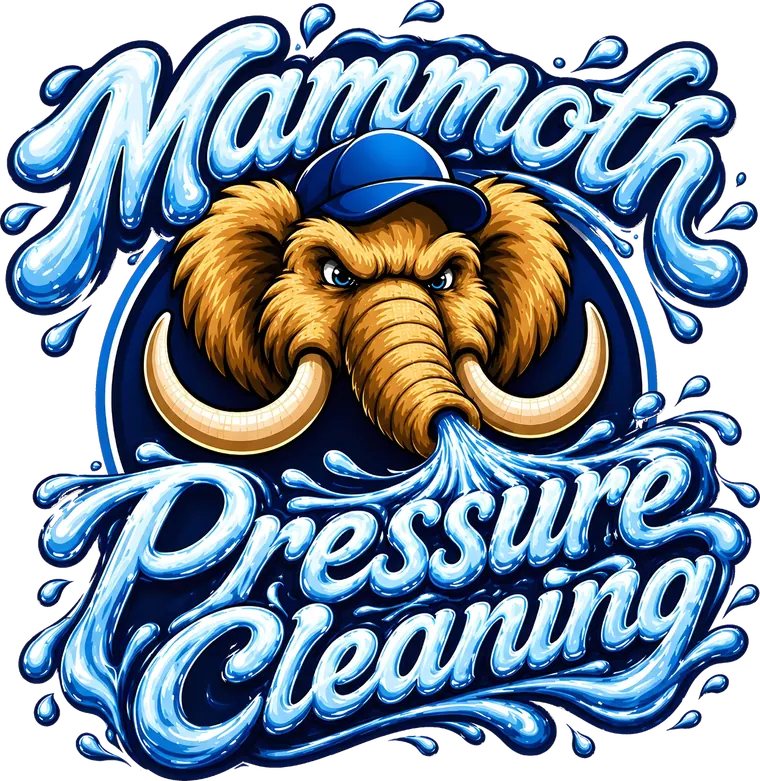 Mammoth Pressure Cleaning